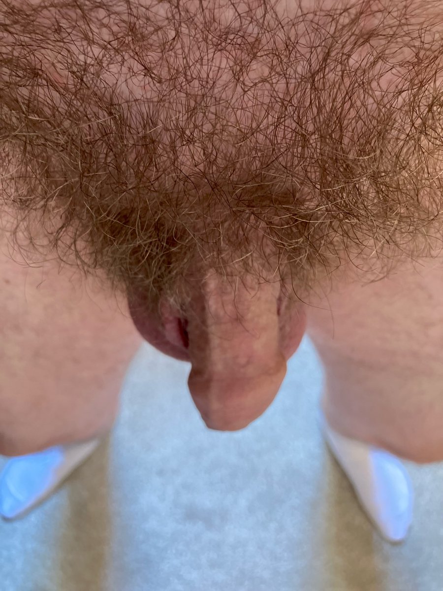 GayScotWanker tweet media