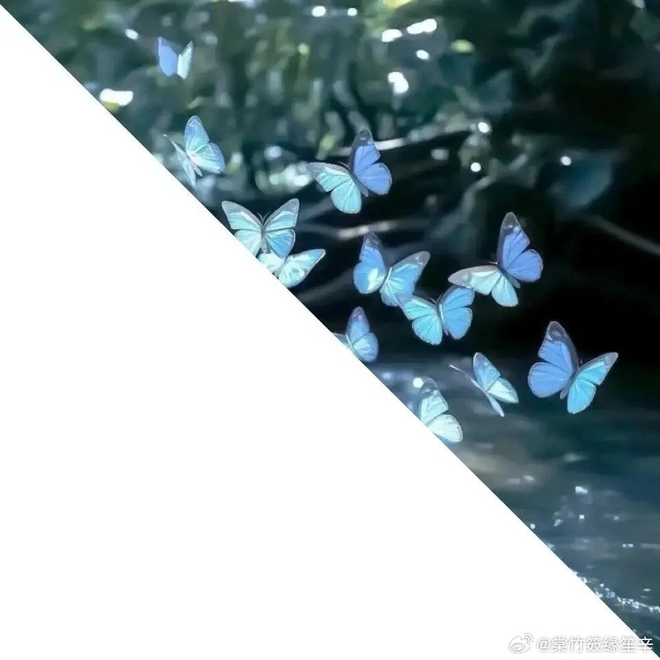 leblanc ludovic tweet media