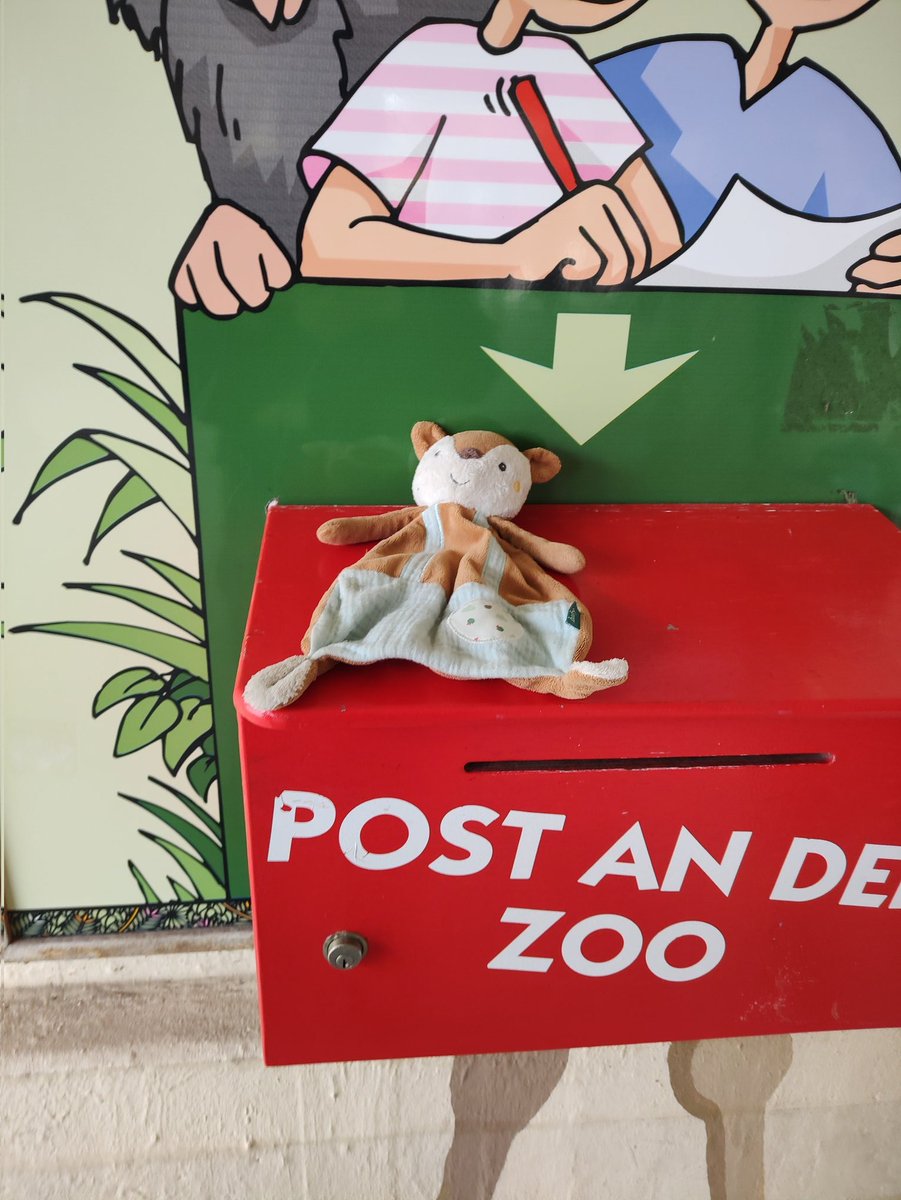 Die gute Zahlenfee tweet media