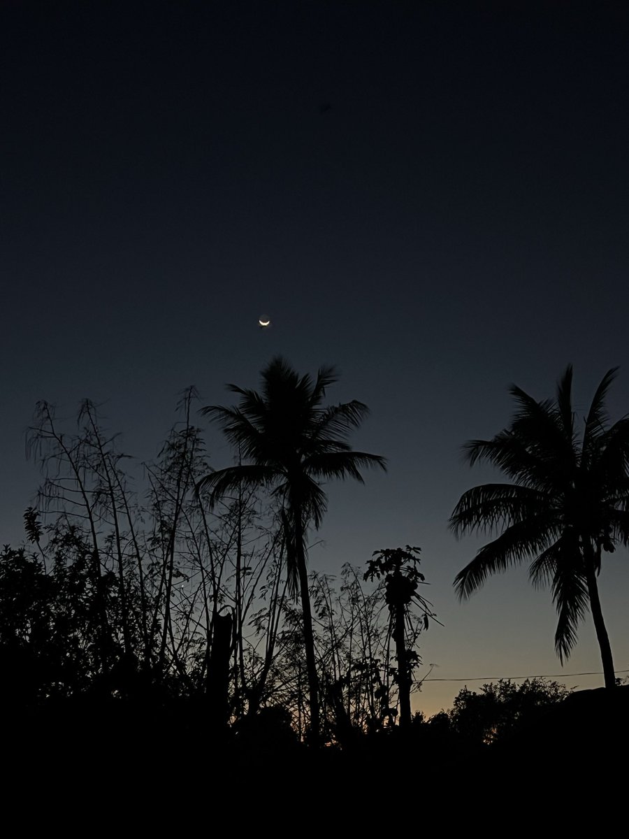 lexlimbu tweet media