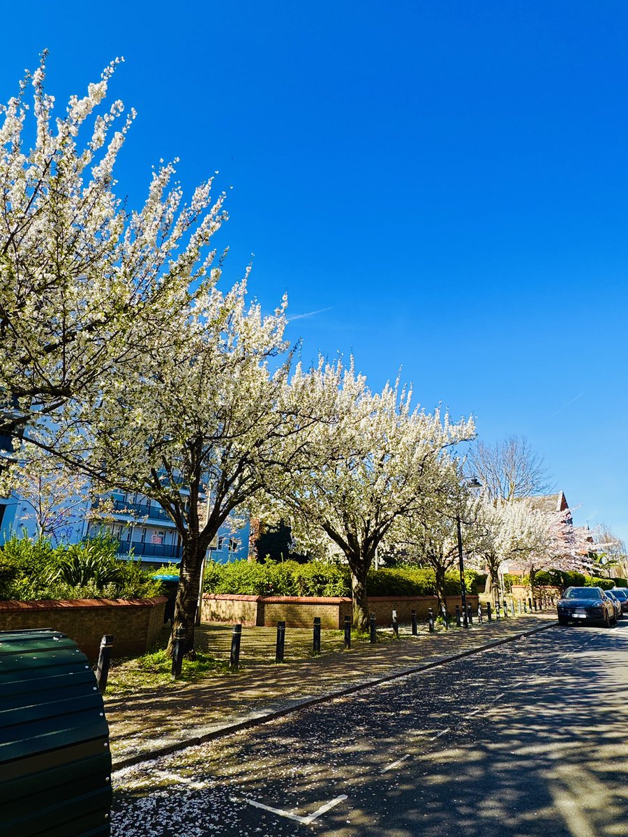 giumetric tweet media