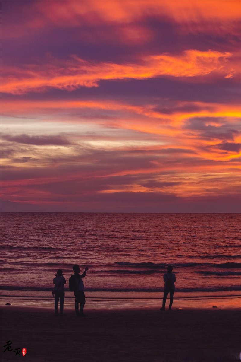 Andrea Reino Webb tweet media