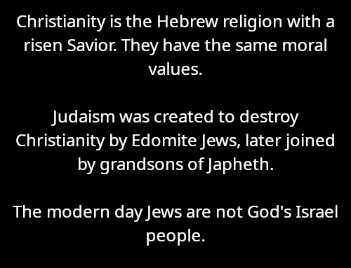 Tim Coucke tweet media