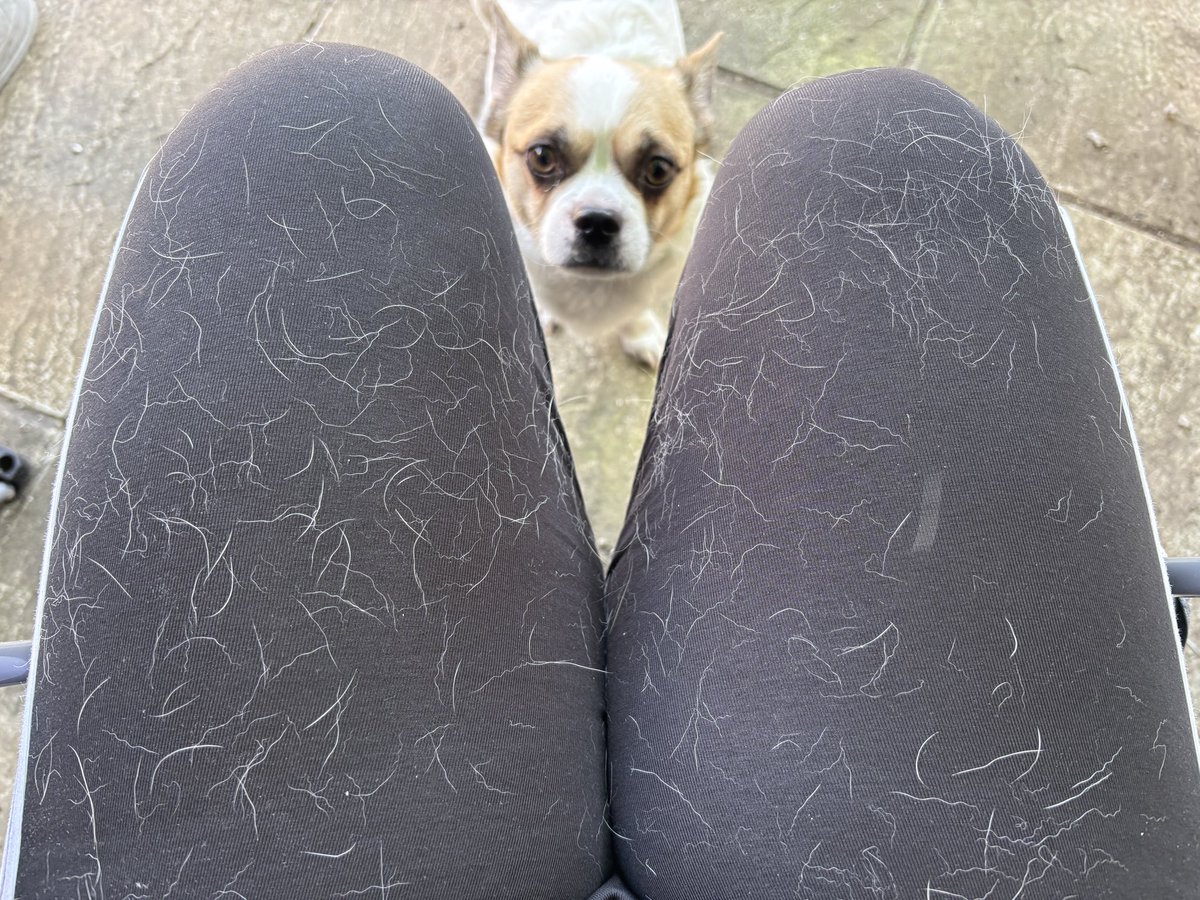 robyn 👼 tweet media