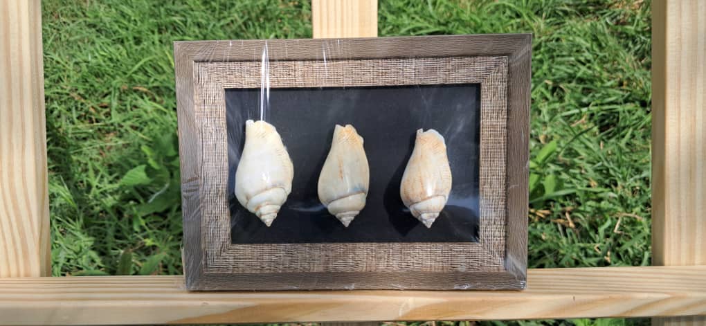 URT Updates tweet media