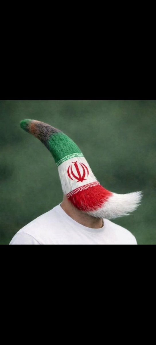 رجلٌ مِن أَقصى المدينة tweet media