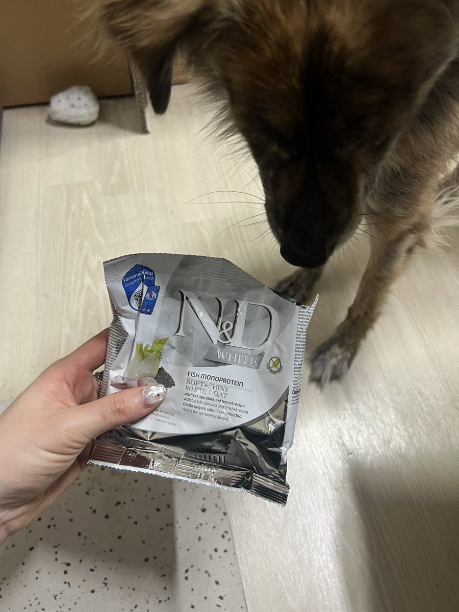 𝕂𝕀ℕ𝕌 tweet media