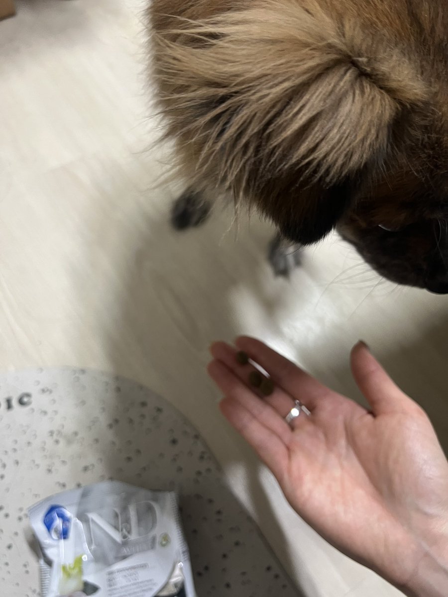 𝕂𝕀ℕ𝕌 tweet media