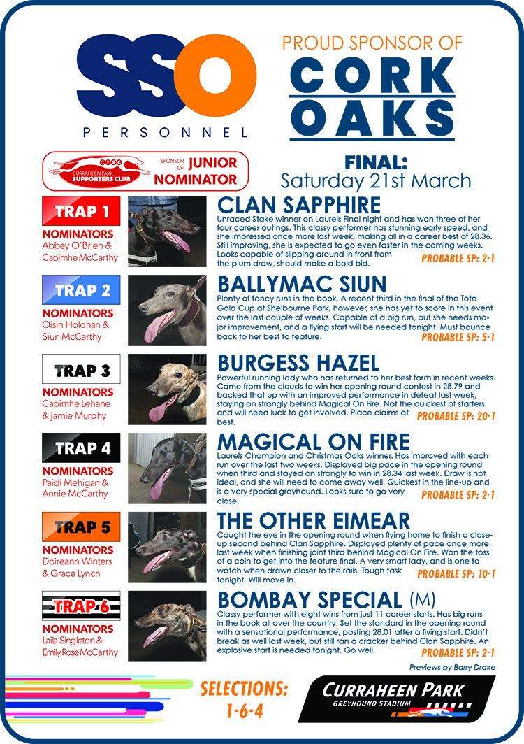 Curraheen Park Greyhound Stadium tweet media