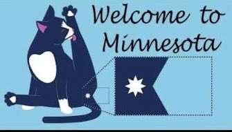 Just A Laser Guy 🌺 tweet media