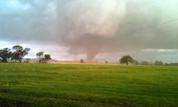 Giovanni Rizzotti tweet media