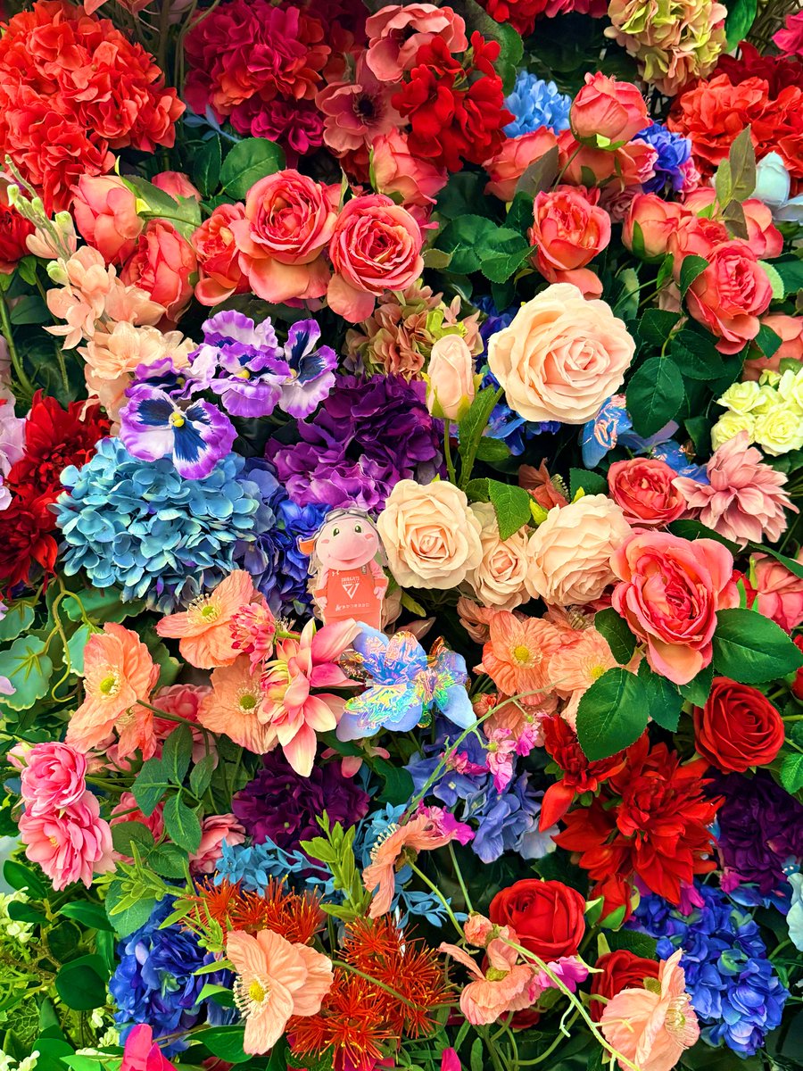 🌷🌼💐🏵️🌹