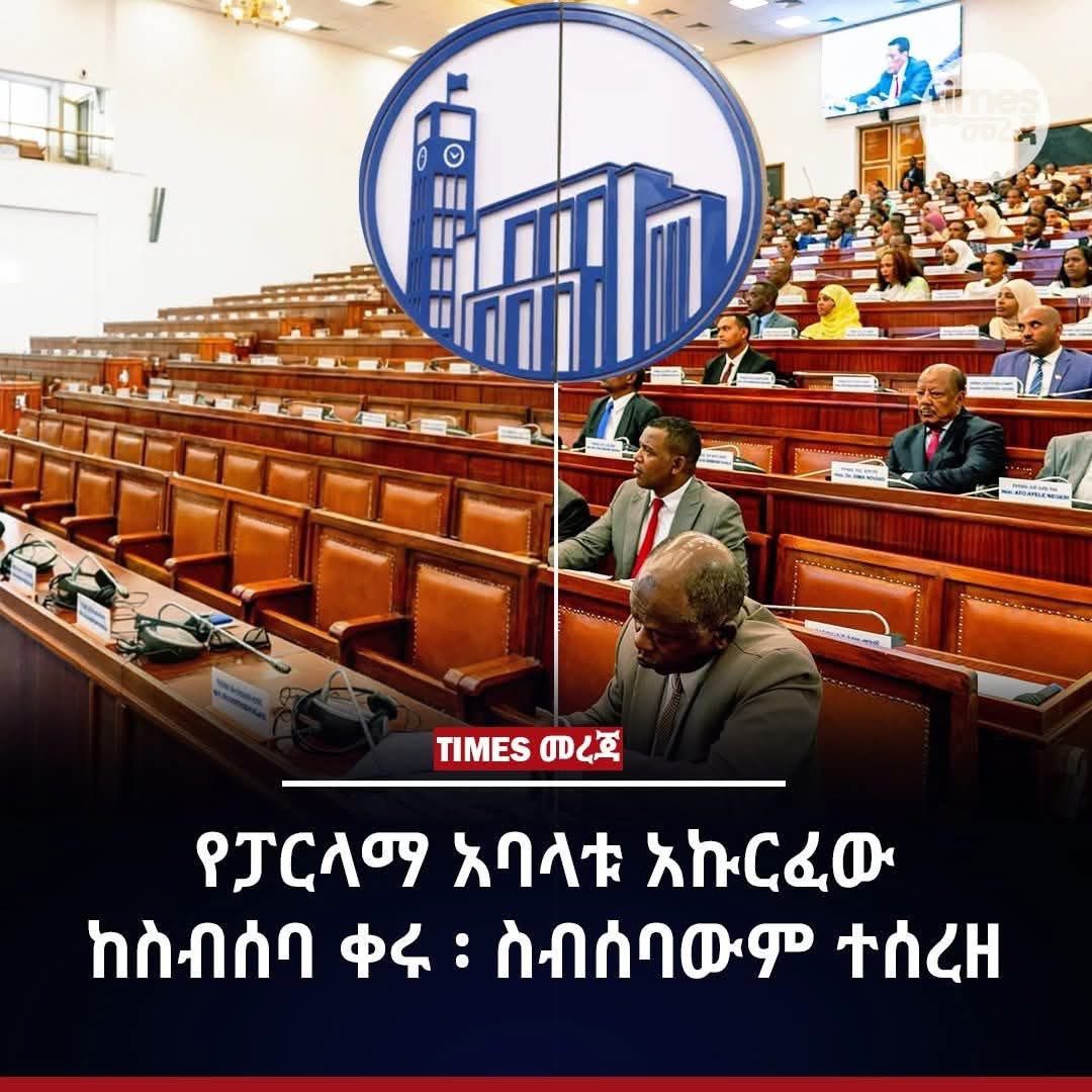 የፓርላማ አባላት ድድ ከሚያሰጡበት ድንጋይ ላይ አልተገኙም 😆😁🤭