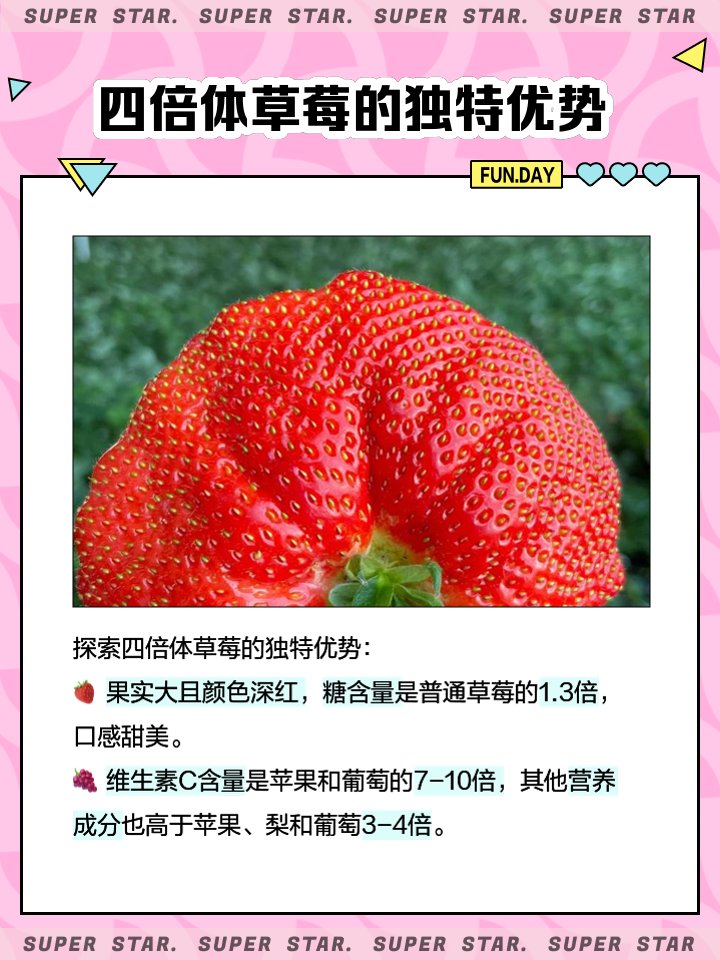 Sarah-Dien Kleen tweet media