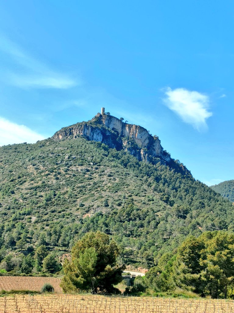 xabivilar's tweet image. Hoy nos tocado jugar en casa. Subida al Castellot desde Castellví.
#ruta #circular #15km #castellot #castellvi #1cimde100 #bringbackmygirls