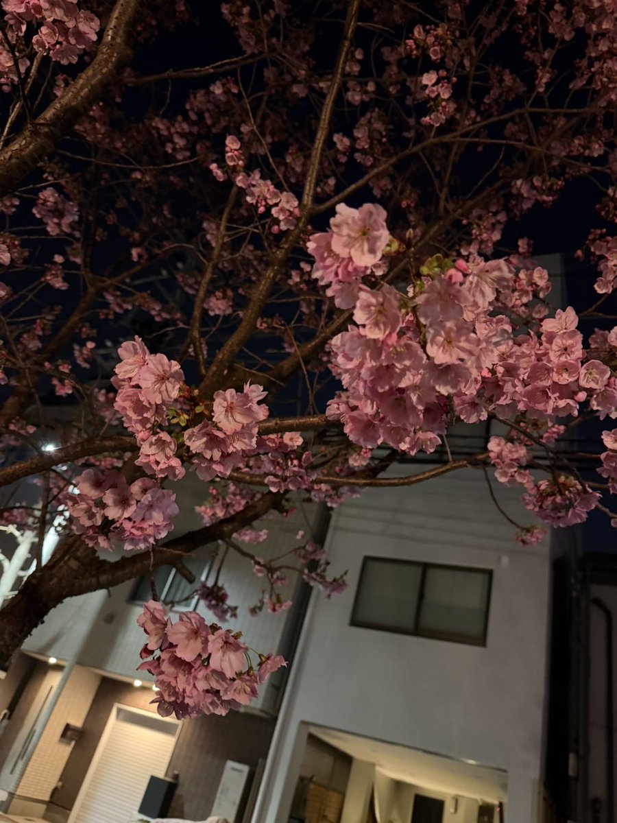 ayu | 医療・介護・福祉WEBデザイナー tweet media