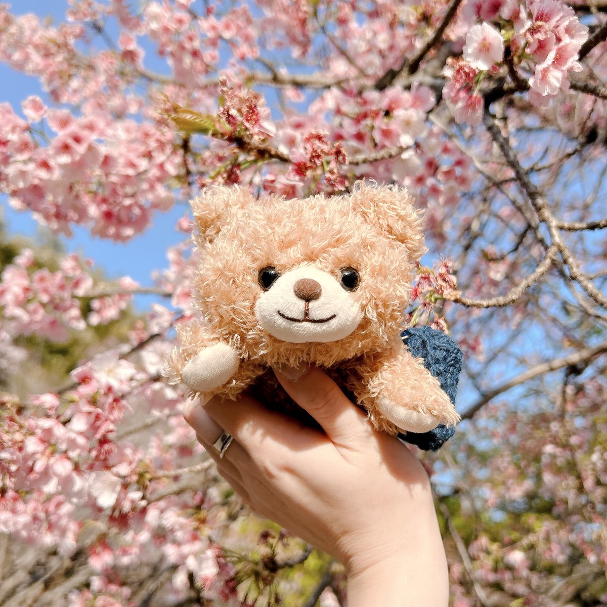 神田 ヨノ子 tweet media