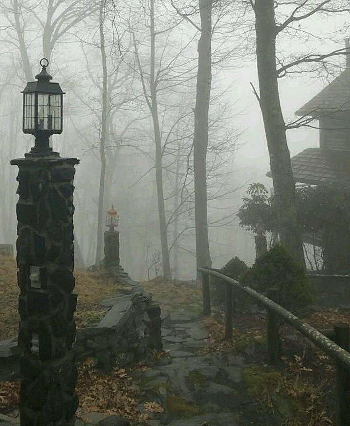 Creepy Cheeks tweet media