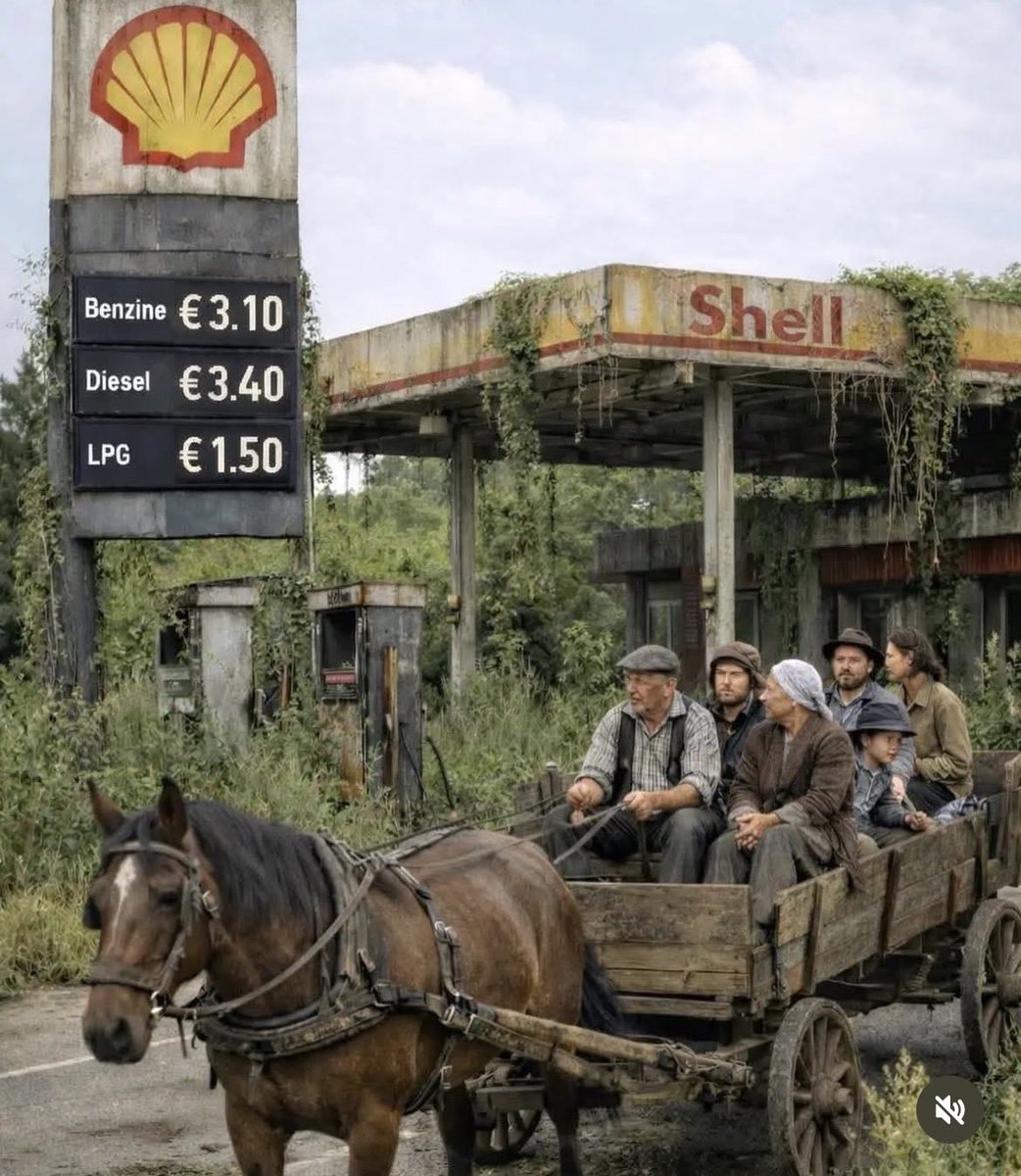 The Best tweet media