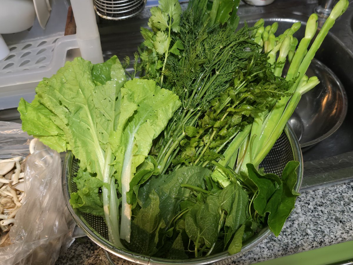 It's hamuzilar 🐺 ||| tweet media