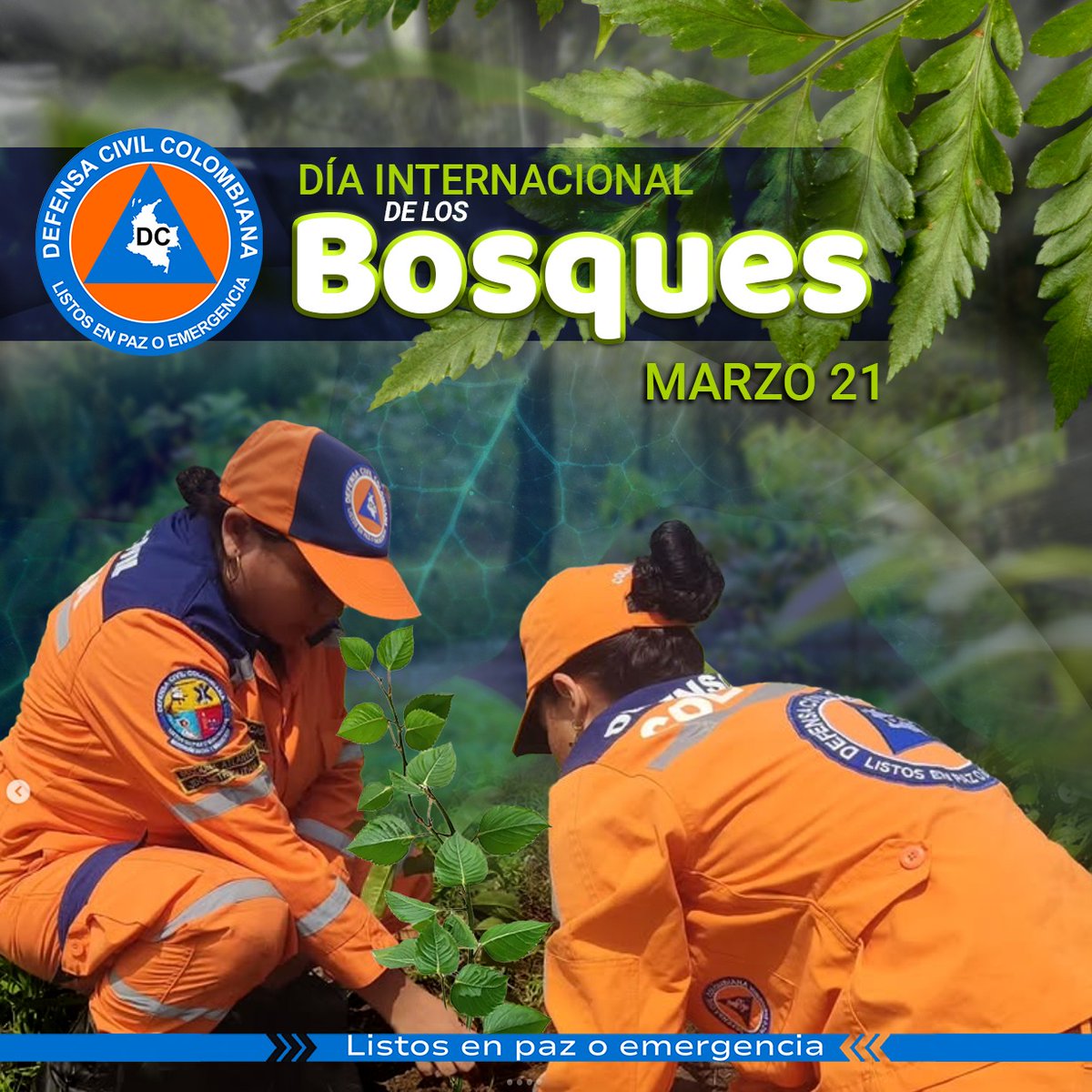 DefensaCivilColombia tweet media