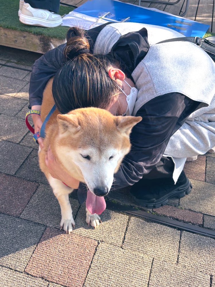 真希ナルセ（マキ） tweet media