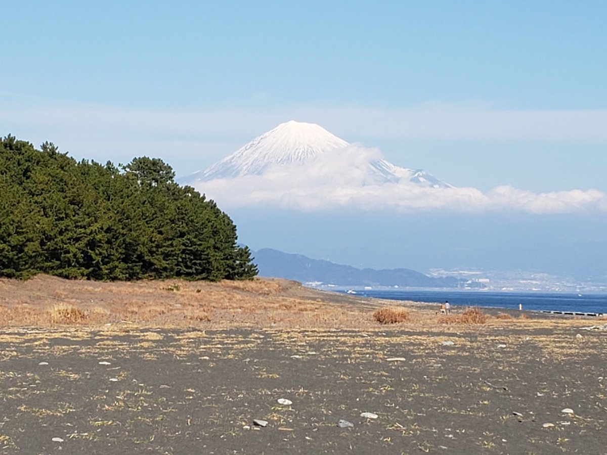 しさくさん X tweet media