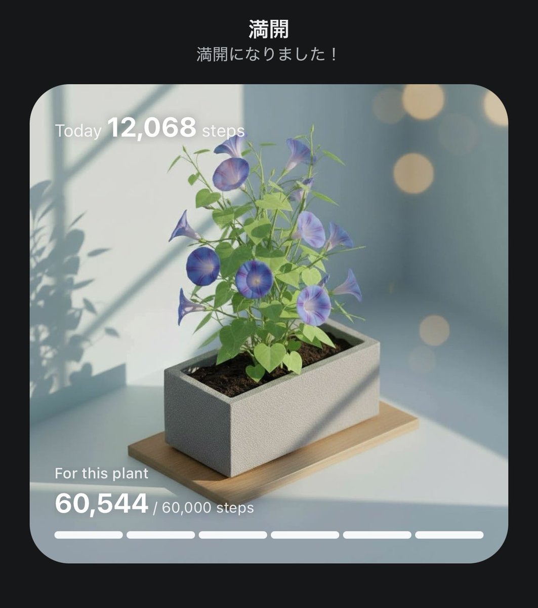 亜座美💃🏻 tweet media