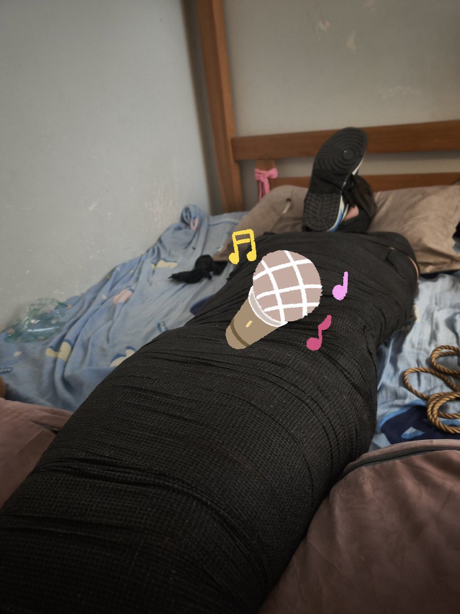 毛绒波比熊 tweet media