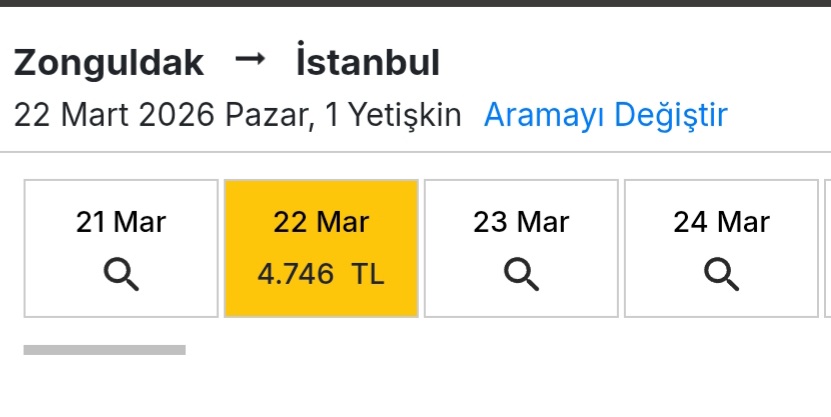 Neyse… edebimle otobüs bileti alıp, üstüne kalan parayla Beylerbeyi göbek alır, yol boyunca hayatımı sorgularım