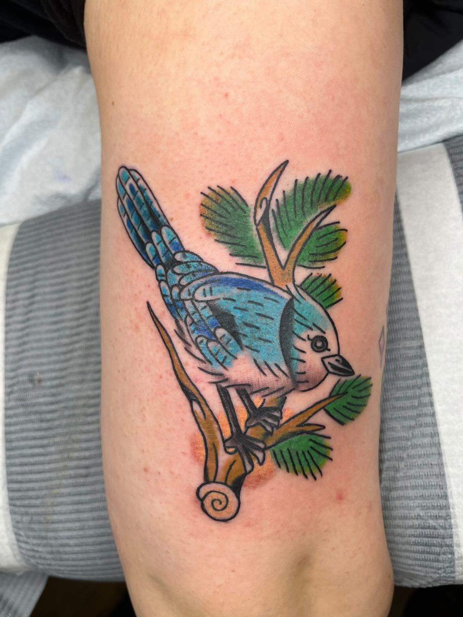 d0nt_plz_ tweet media