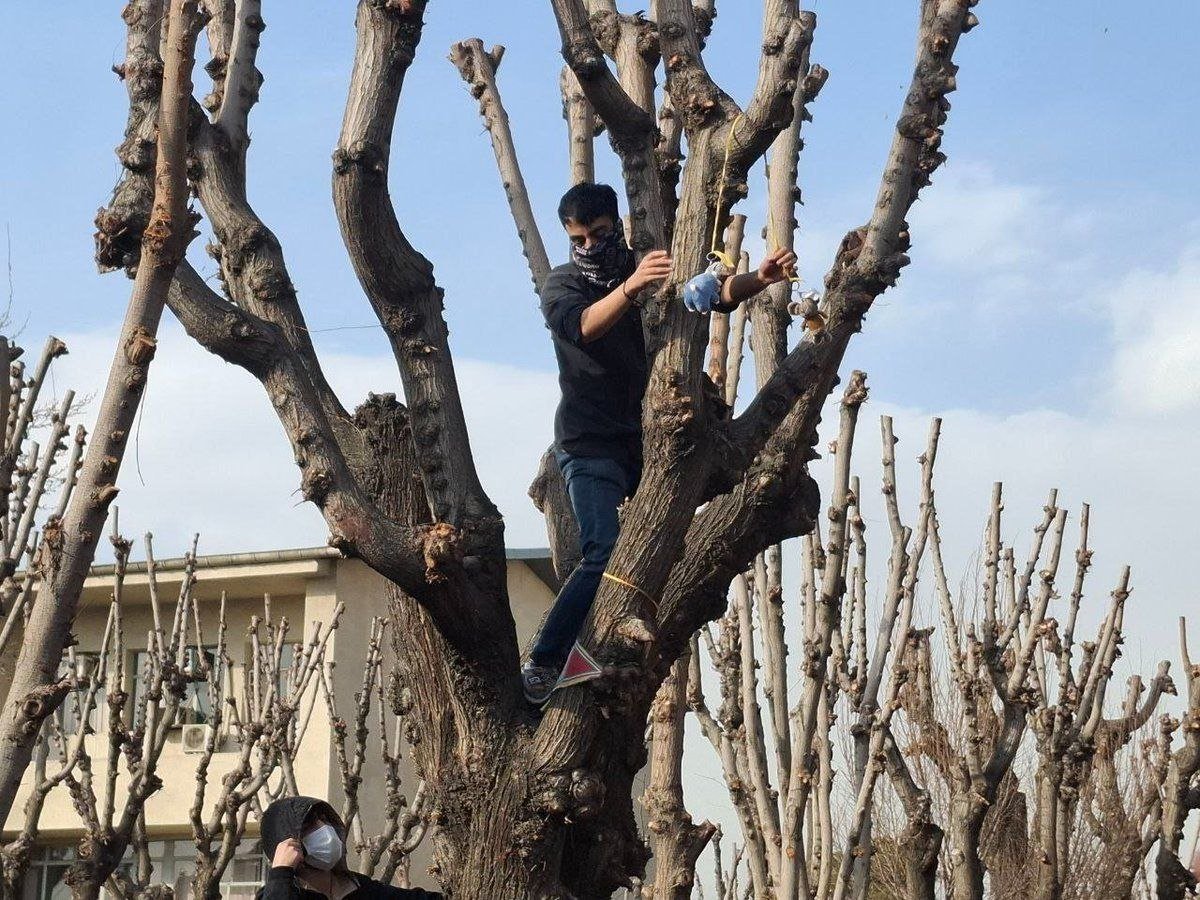 دیشب رضا دالمن، دانشجوی دانشگاه صنعتی شریف، دستگیر شده.