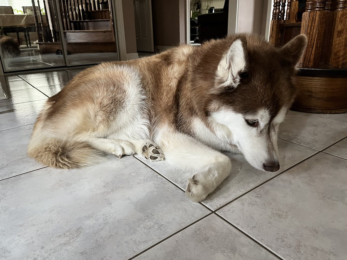 kernel panic attack tweet media