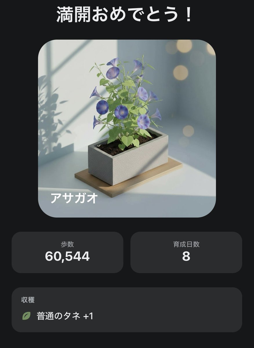 亜座美💃🏻 tweet media