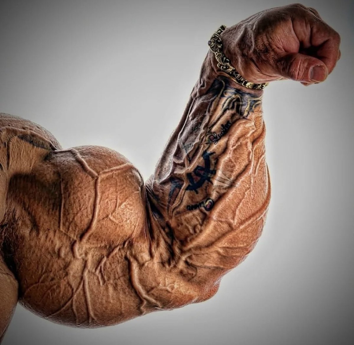 GENERATION IRON tweet media