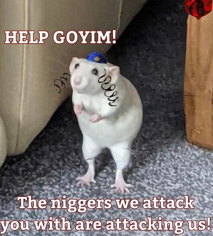 Far right Rob 🏴󠁧󠁢󠁥󠁮󠁧󠁿 tweet media