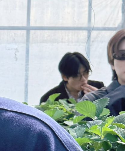 Keith ( 🐉🪼) tweet media