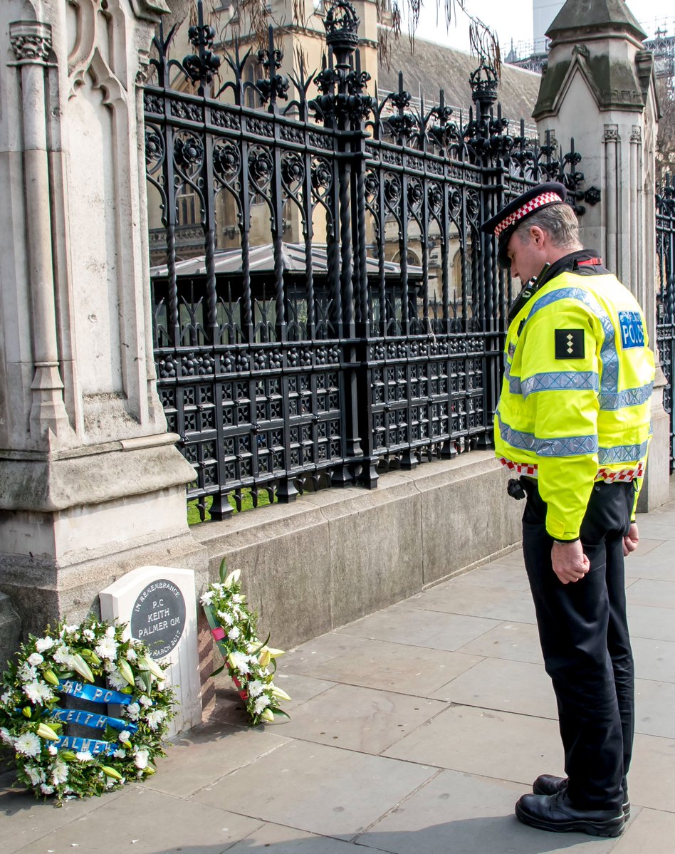 Alan Fraser tweet media