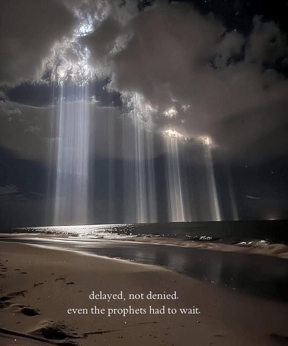 Fatima Saleh tweet media