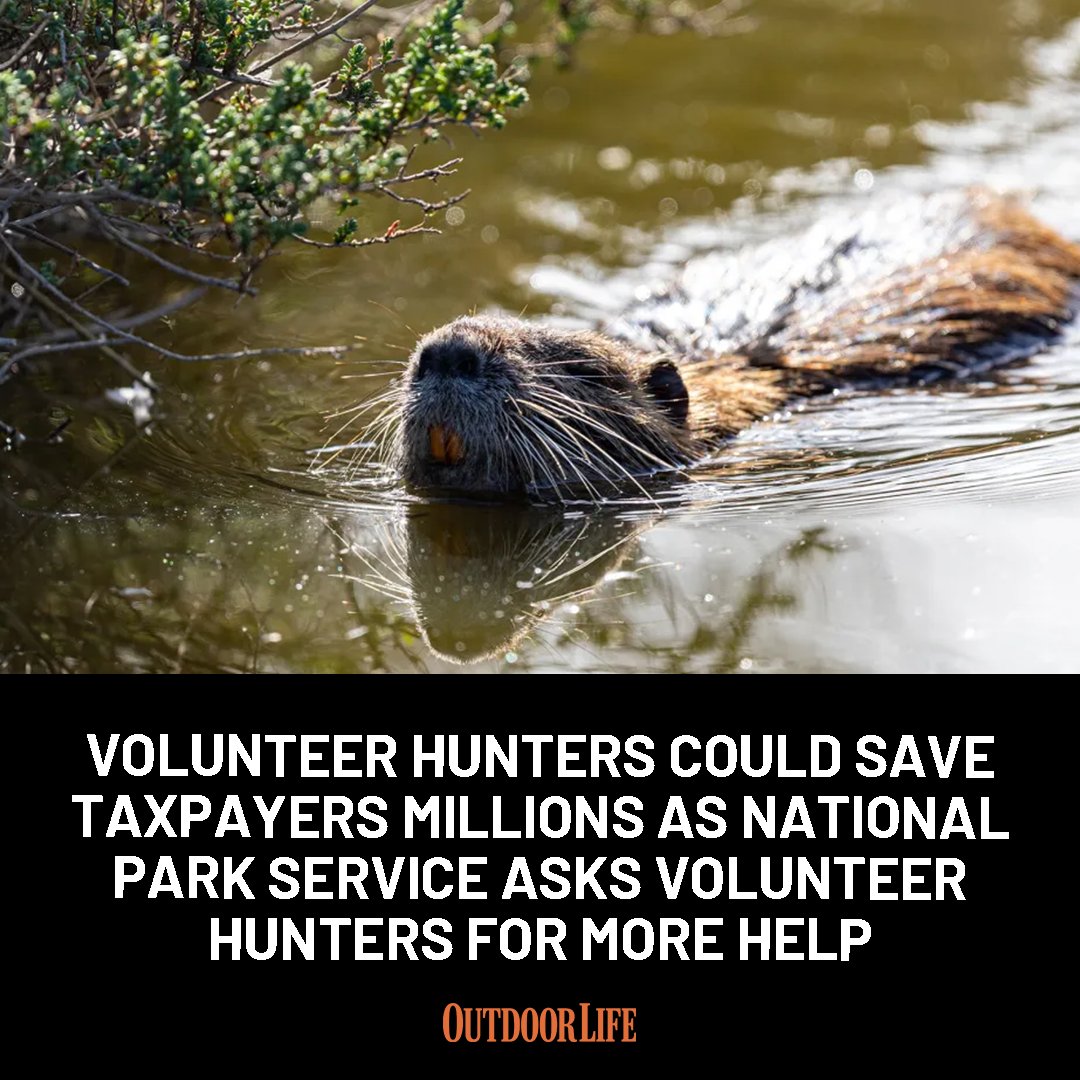 outdoorlife's tweet photo. The plans are likely to be the first of several expanded or new opportunities to hunt or fish on properties managed by the National Park Service: https://t.co/r86jONBQiZ https://t.co/9TUSRcIF0B