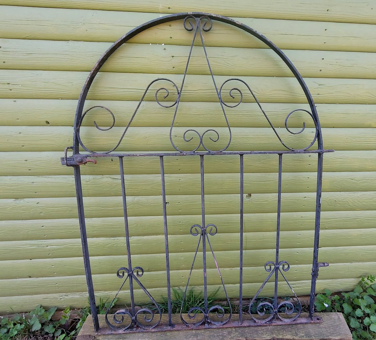 netherfield 🌻 tweet media