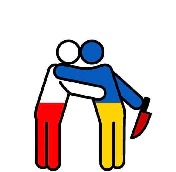 Tomasz tweet media