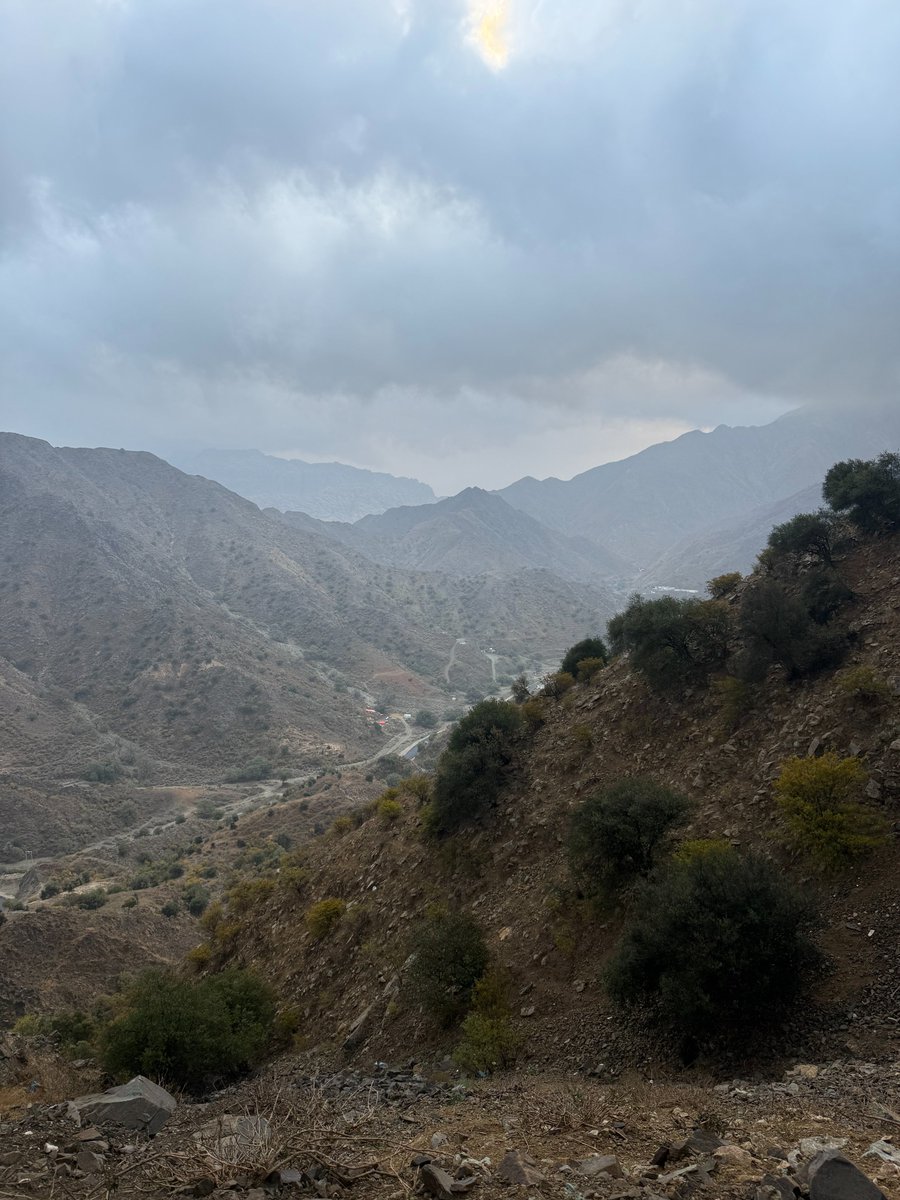 M7MD_dev tweet media