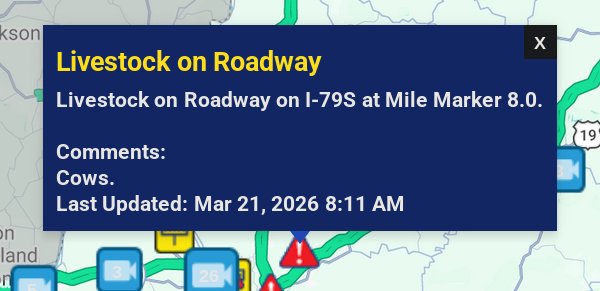 My husband found WV's traffic camera website. Now he sends me warnings and screenshots like this one: 🐄

Be careful out there, <a href="/GetOnTap/">The Appalachian Podcast</a>
