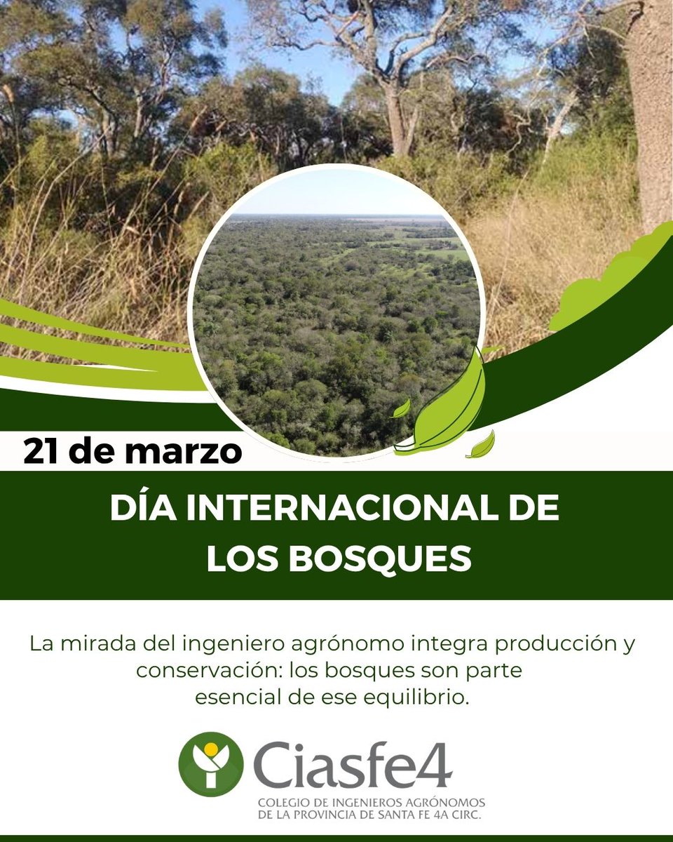 Ciasfe IV tweet media