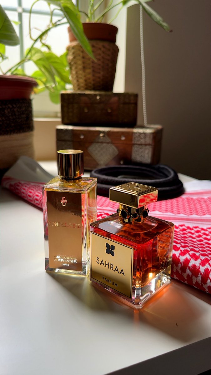 أبو حمـــــزة | Abohamza tweet media