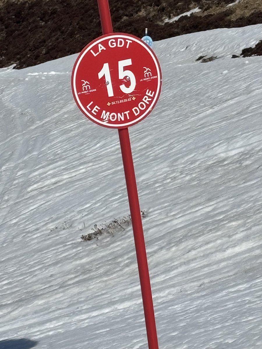 LoloDocRider tweet media