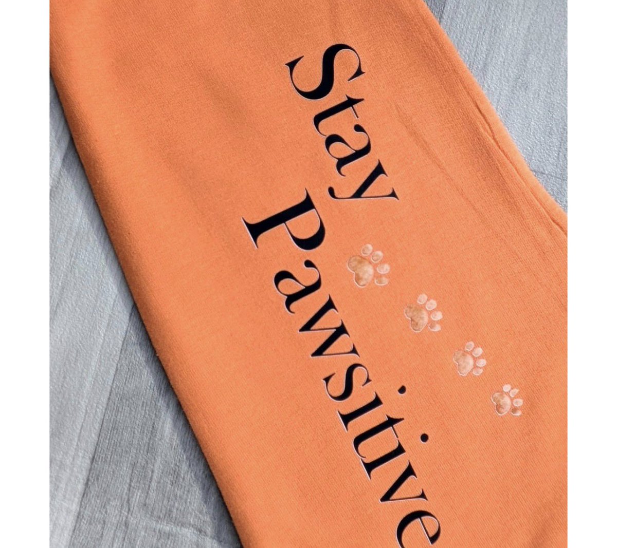 George The Stourbridge Junction Station Cat tweet media