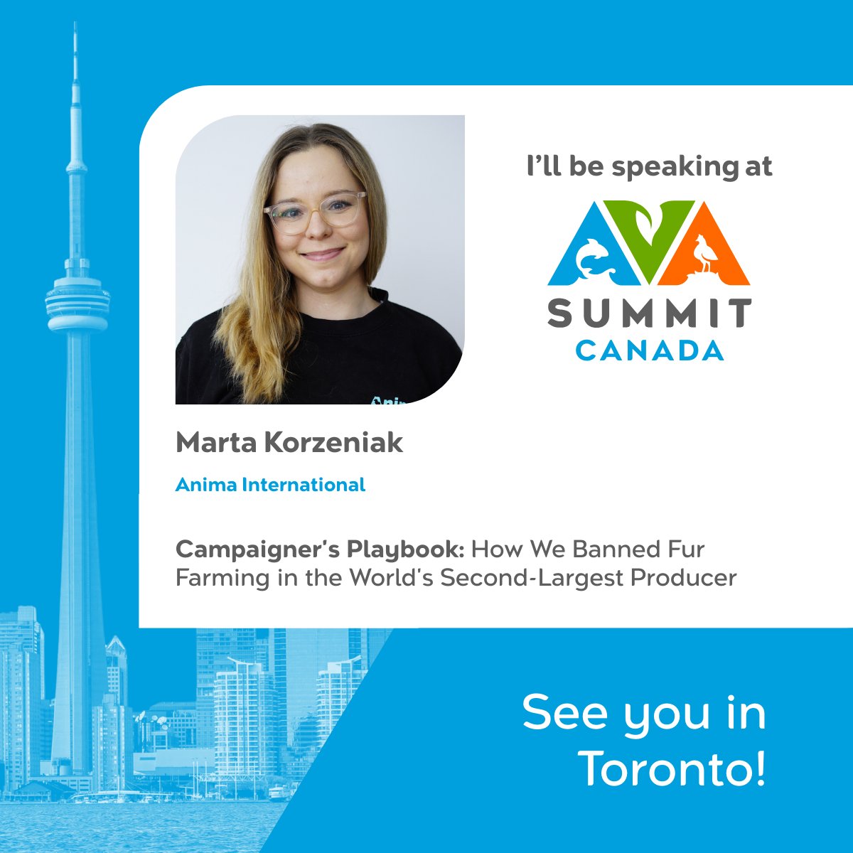 Anima International tweet media