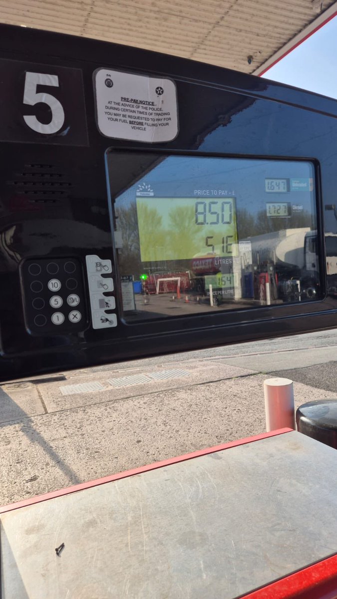 Michelle tweet media